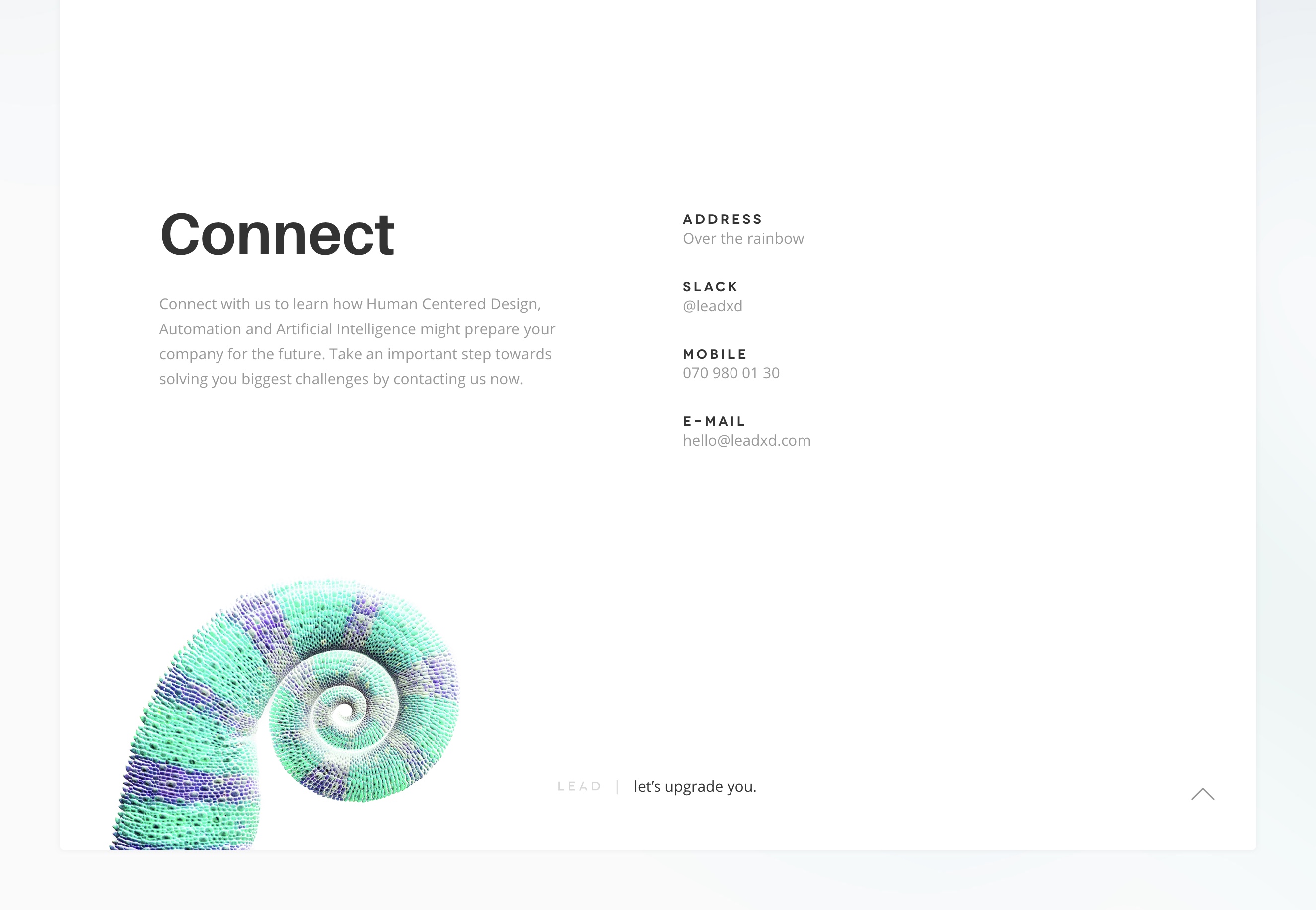 Lead XD web page design contact section