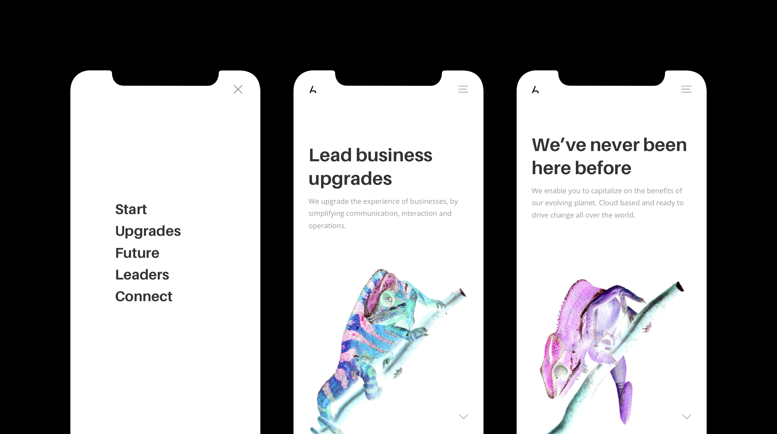 Lead XD web page mobile design